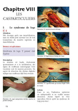 Charger l'image dans la galerie, La main au sas des urgences