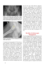 Charger l&#39;image dans la galerie, Current Concepts in the Arthroscopic Management of Femoroacetabular Impingement
