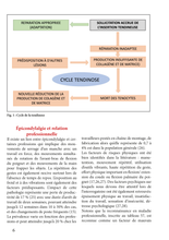 Charger l&#39;image dans la galerie, Tendinopathies du coude
