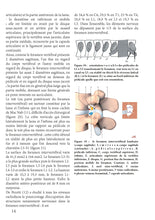 Charger l&#39;image dans la galerie, Pathologies du rachis 2011-2014
